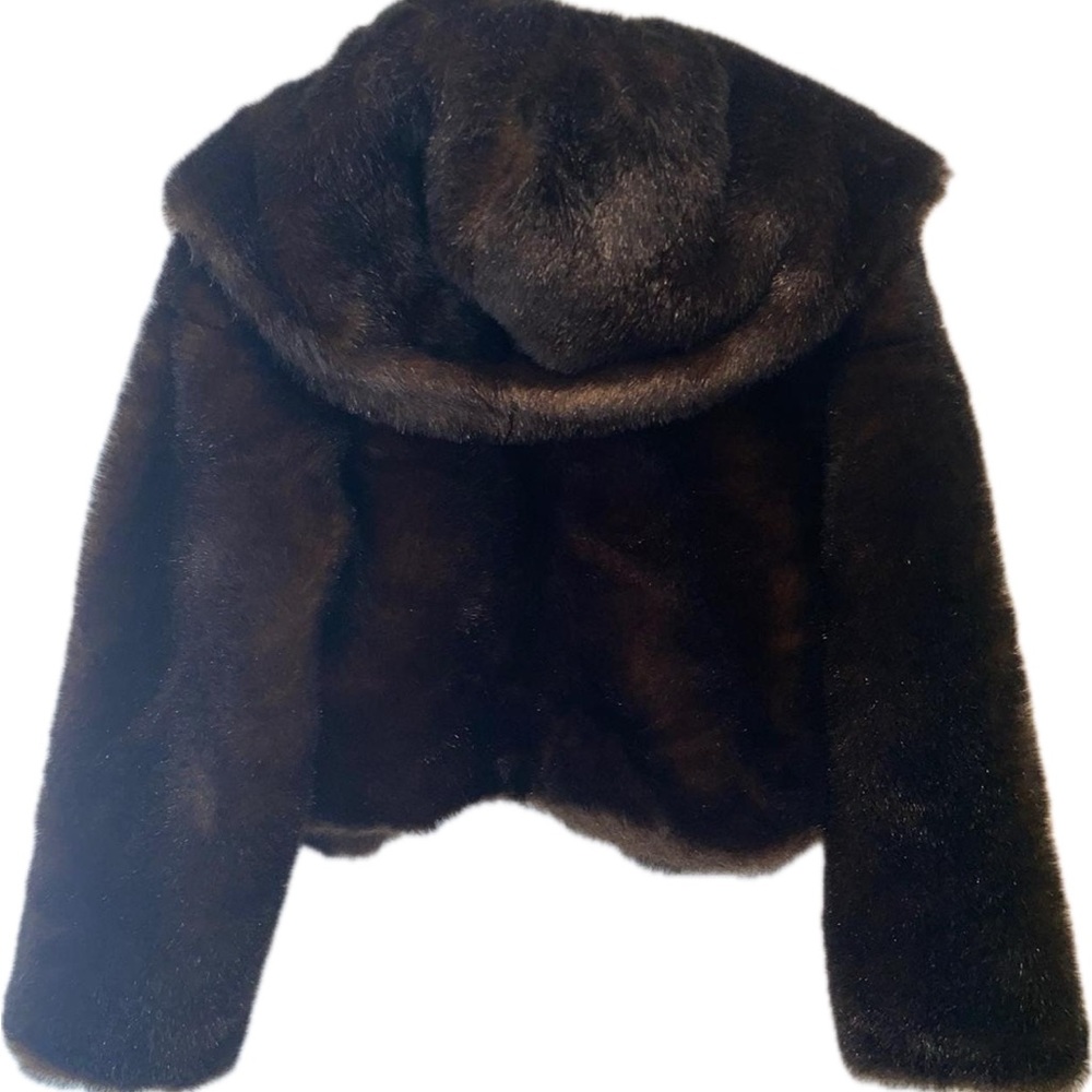 Express Brown Faux Fur Hooded Crop Jacket